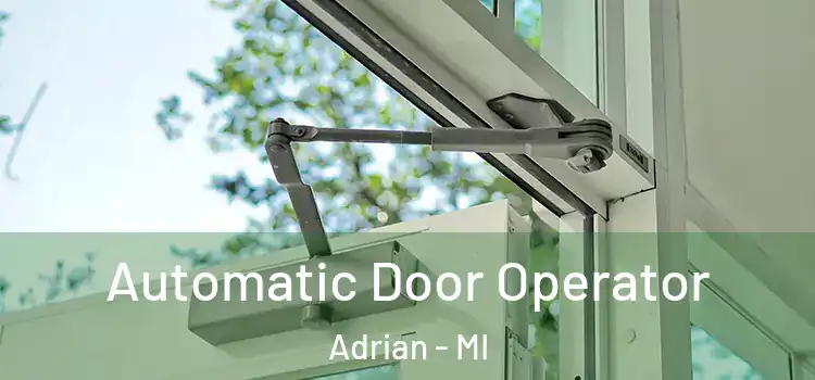 Automatic Door Operator Adrian - MI