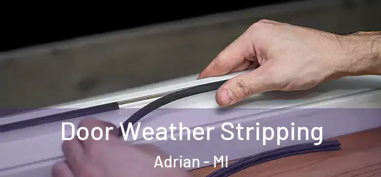Door Weather Stripping Adrian - MI