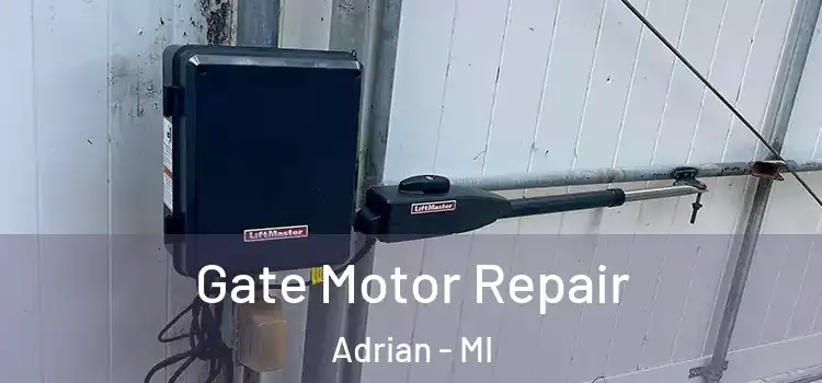 Gate Motor Repair Adrian - MI