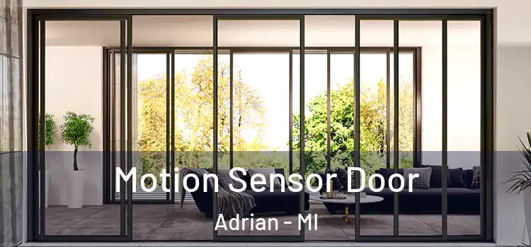 Motion Sensor Door Adrian - MI